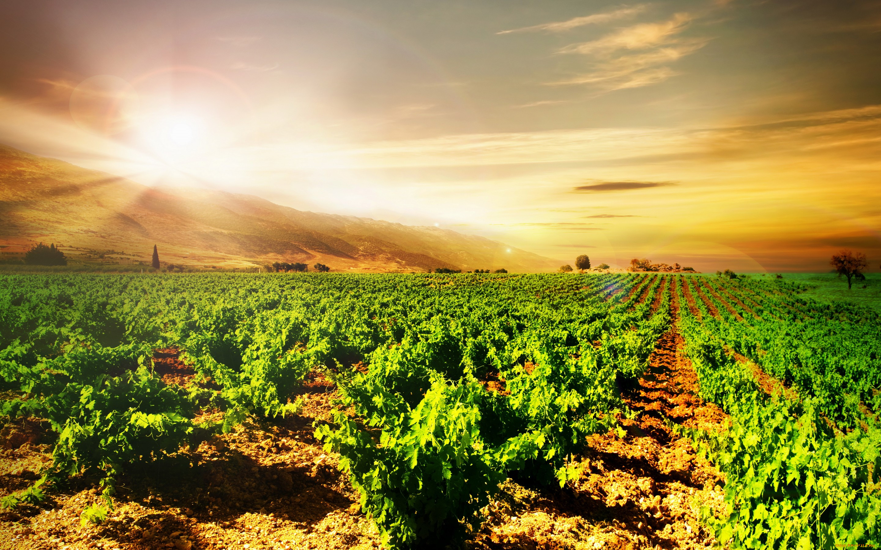 , , , , , , , sky, landscape, nature, sunset